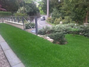Perfekt angewachsener Rollrasen nach der Garten-Neugestaltung durch einen Fachbetrieb für Rasenpflege in der Region Baden-Baden.